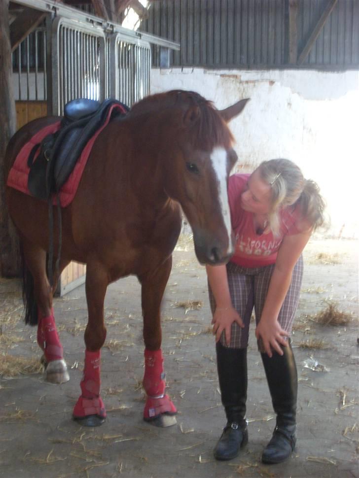 Anden særlig race Felex - Hygge dag (:  billede 4