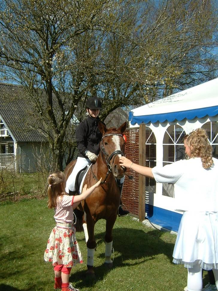 Anden særlig race Felex - I haven til konfi (: billede 5