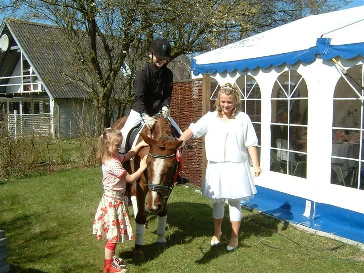 Anden særlig race Felex - I haven til konfi (: billede 7