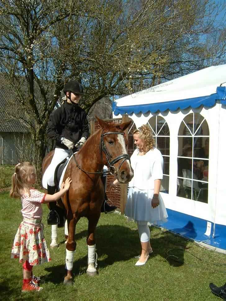 Anden særlig race Felex - I haven til konfi (: billede 8