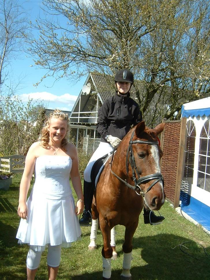 Anden særlig race Felex - I haven til konfi (: billede 9