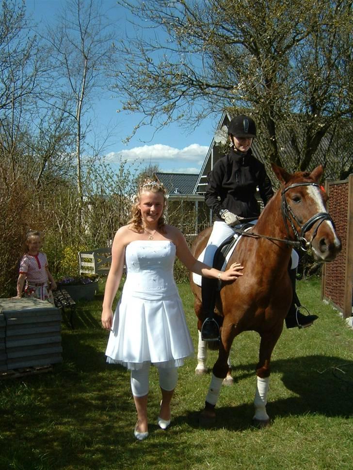 Anden særlig race Felex - I haven til konfi (: billede 10