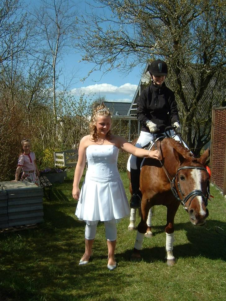 Anden særlig race Felex - I haven til konfi (: billede 11