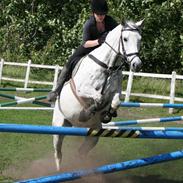 Anden særlig race Flash Lightness<3 - Solgt