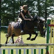 Anden særlig race Just Daisy mitalt<3 SOLGT