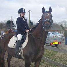 Fuldblod (XX) Jivã *DØD*