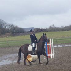 Fuldblod (XX) Jivã *DØD*