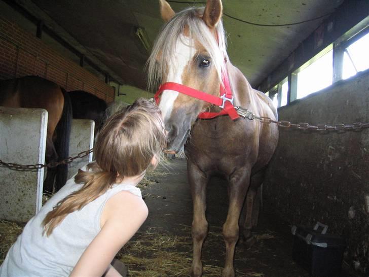 Anden særlig race Jamaica(red før sommer08) - Kys kys XD foto: emma billede 7
