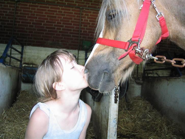 Anden særlig race Jamaica(red før sommer08) - kyss XD foto: emma billede 8