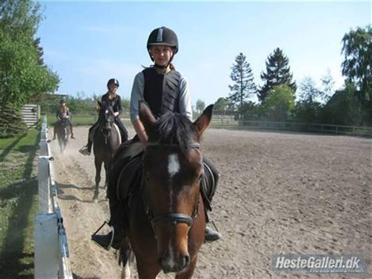 Anden særlig race Hunterlaar*Tidl. passer* - rider med min gode veninde nanna billede 1