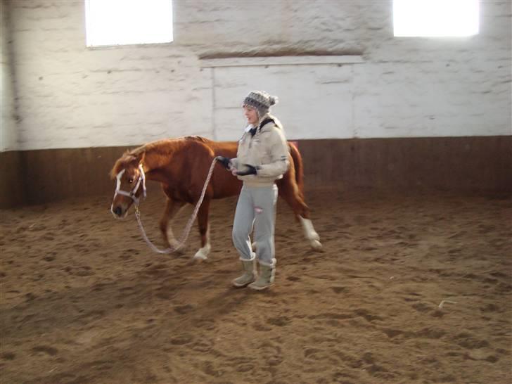 Anden særlig race Lighter <3 - 12# Det skulle jo værre dig&mig for evigt&altid? :´(  billede 12