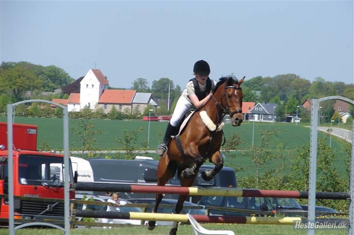 Hollandsk Sportspony Sjanoe - Solgt - R.I.P. :( - stævne i thørsø LB *taget af anne sofie kjeldaard* mange tak billede 8