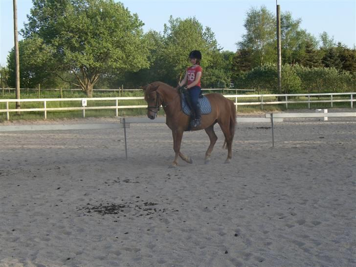 Anden særlig race Valentins Sirocco R.I.P - Valle;) <3 billede 9