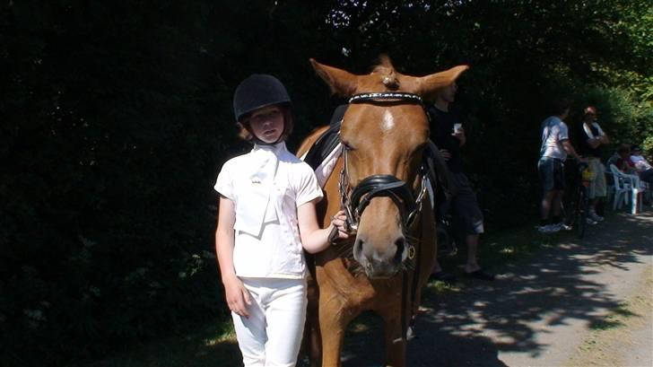Anden særlig race Valentins Sirocco R.I.P - Til KIR-stævnet vi har lige redet vores første udestævne i dressur <3 billede 10