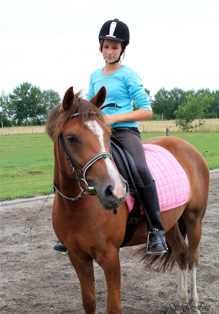 DSP Jasmin - Solgt - Velkommen til Jasses´ side <3 SR foto. billede 1