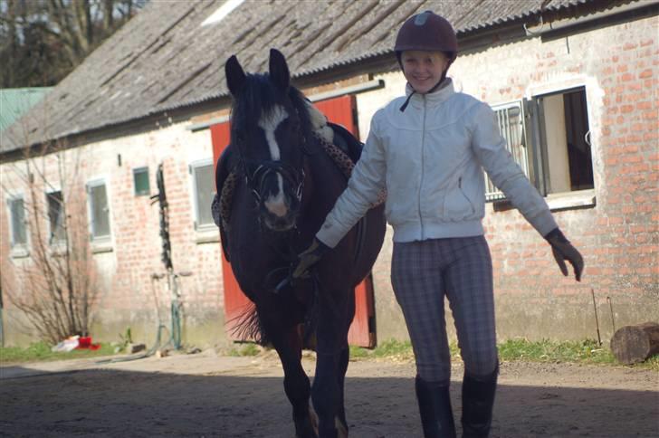 Anden særlig race Blackie - 5) vi ser altså herre søde ud her :D foto: Cecilie, marts 08 billede 5