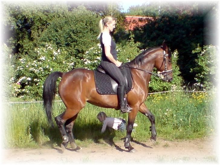 Anden særlig race Shirlee ***SAVNET*** :'( - Shirlee den 1.6.08 billede 12