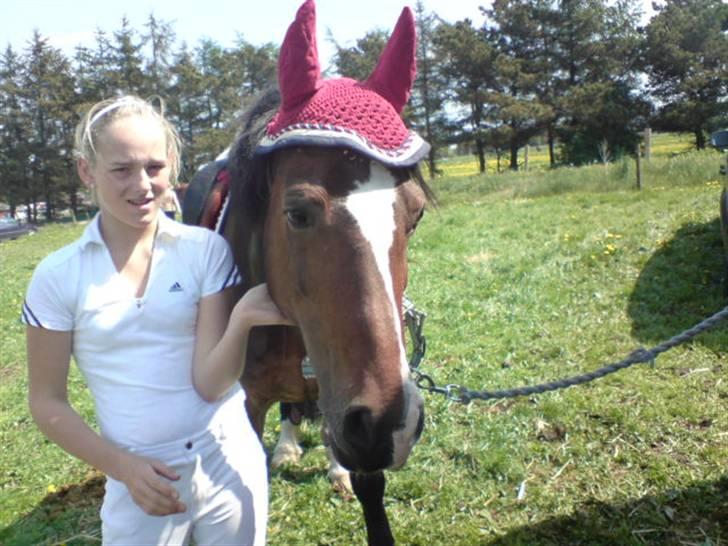 Anden særlig race Sunshine billede 15