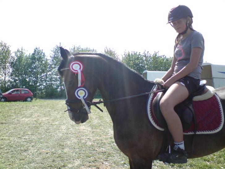 Anden særlig race Sunshine billede 17