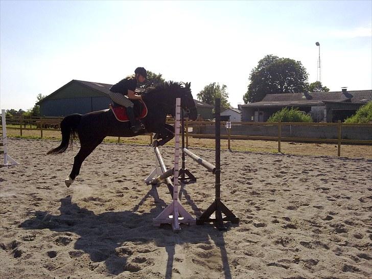 Oldenborg FREJA<3 - Freja i god stil over 90, 15. juli 2010 billede 9