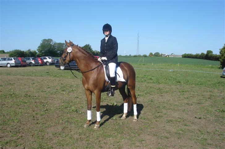 Anden særlig race Ahorns kira <3 *SOLGT* - Stævne i Revsø , vi var havde lige været inde på  banen ;D hun gik så flot <3 d. 18 maj ;D  billede 13