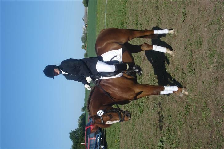 Anden særlig race Ahorns kira <3 *SOLGT* - i må lige vende hovedet lidt ;D det er så dagens gymnastik for jer ;D  billede 15