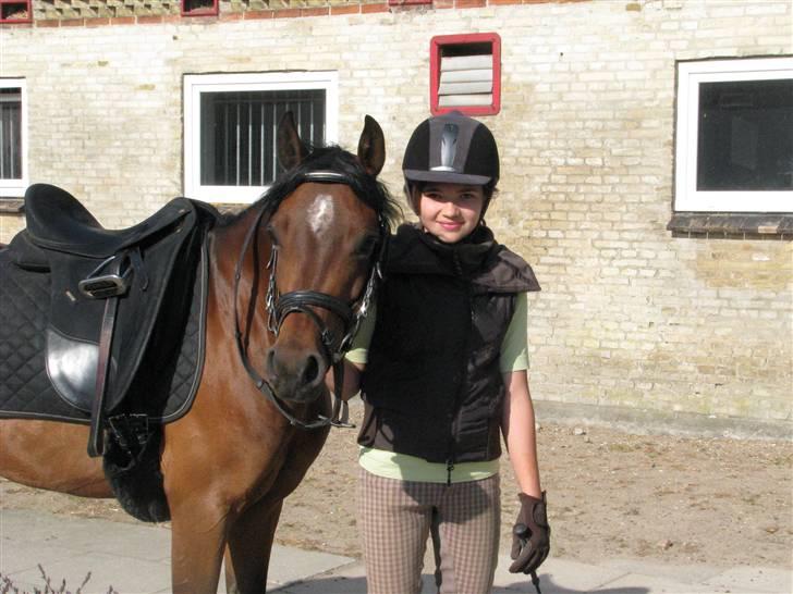 Anden særlig race Højgårds Magic Star *EX* billede 6