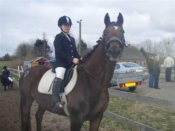 Fuldblod (XX) Jivã *DØD* - Øh hejsa! Og velkommen til Jivã´s profil kiig gerne billederne igennem og lææg en bedømmelse ! ;) billede 1