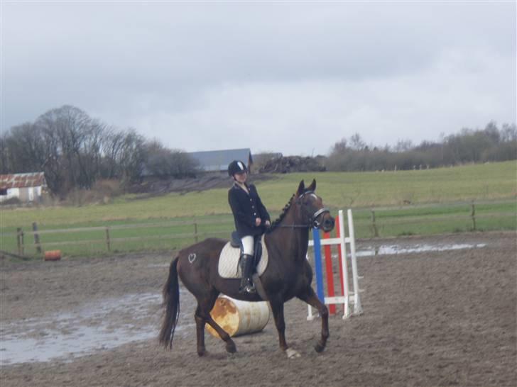 Fuldblod (XX) Jivã *DØD* - haha, stævne d. 5/5 i purk billede 2