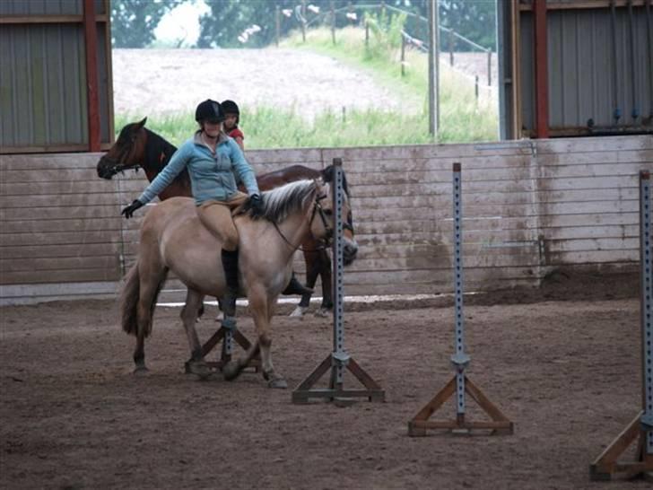 Fjordhest Jenka - "horsemanship" på ridelejren. Foto: Merete billede 3