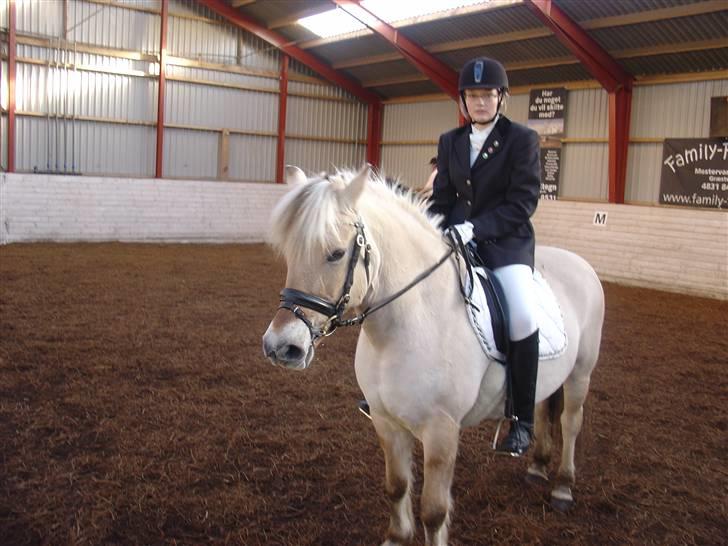 Fjordhest Jenka - Dressur stævne. Foto: Mig billede 4