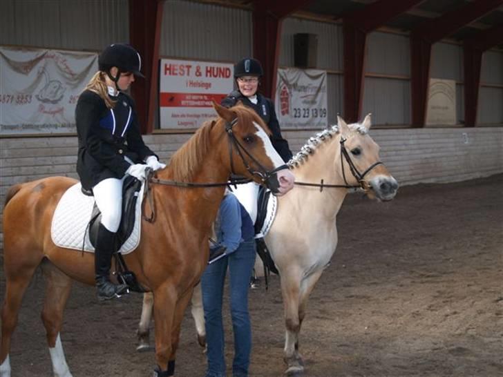 Fjordhest Jenka - Spring stævne opvarmning. Jenka og Charlie. Foto: Merete billede 9