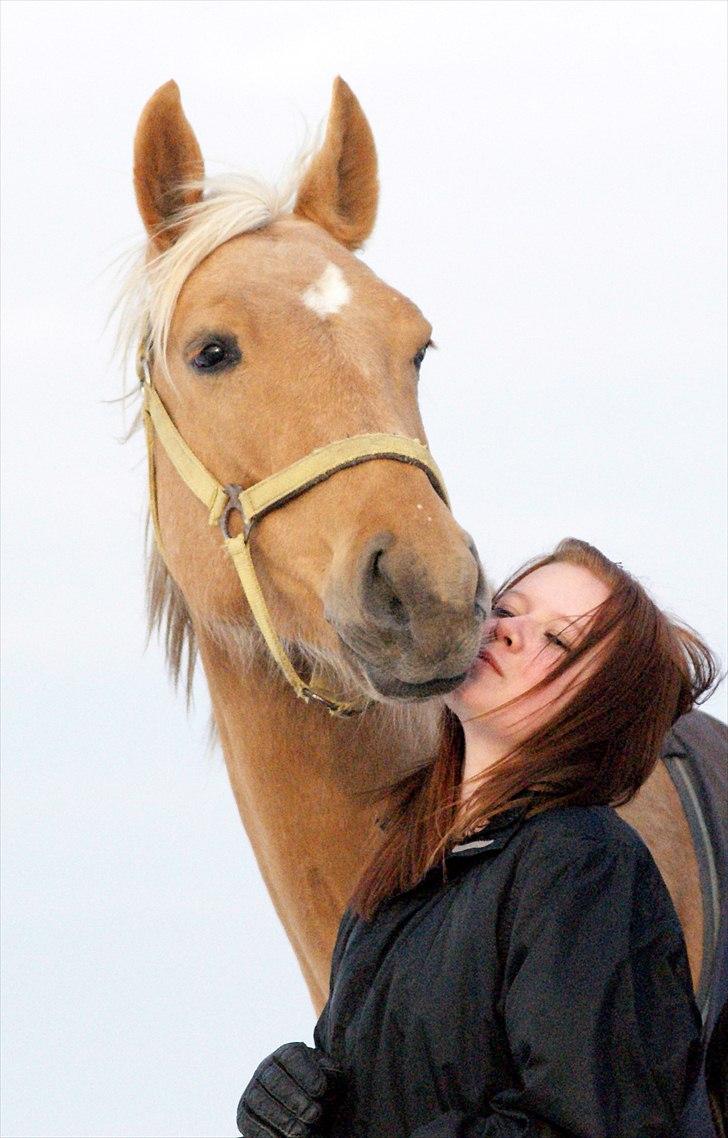 Palomino Guldhyppen Disalica :-I  - Disalica & jeg I-: mysmys :i billede 12