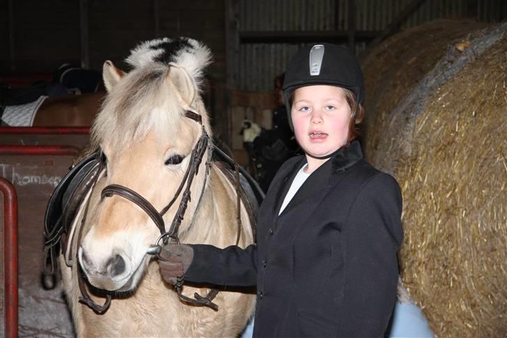 Fjordhest oliver - på vej ind i hallen til vores første stævne billede 9