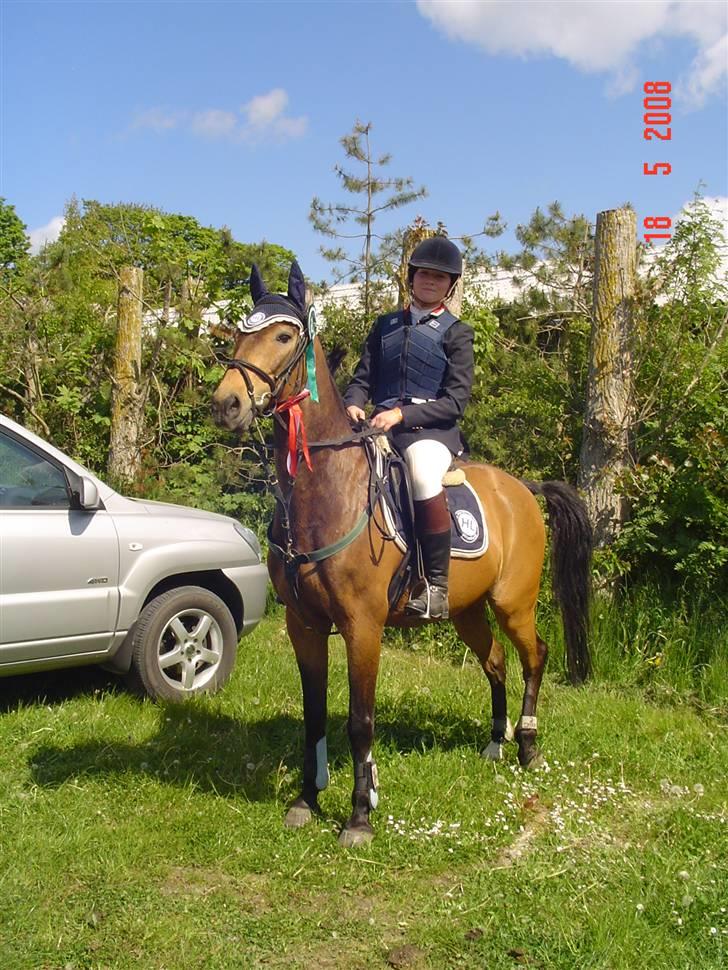 Anden særlig race Moonligt  billede 14