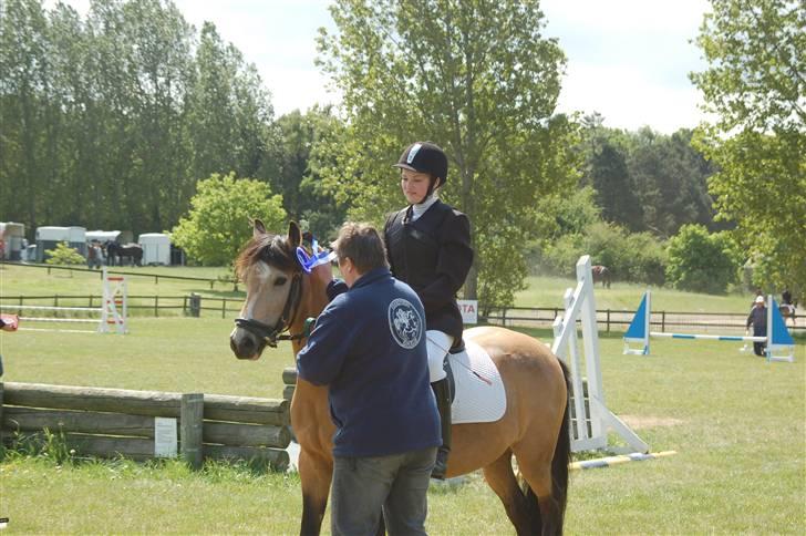 Welsh Pony af Cob-type (sec C) Fanny af Sønderbo - Denne dag fik vi en 2 og 3 plads billede 5