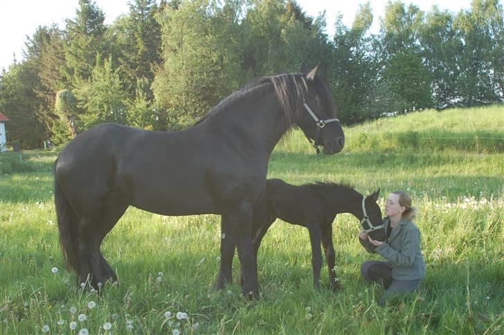 Frieser Chavel billede 9