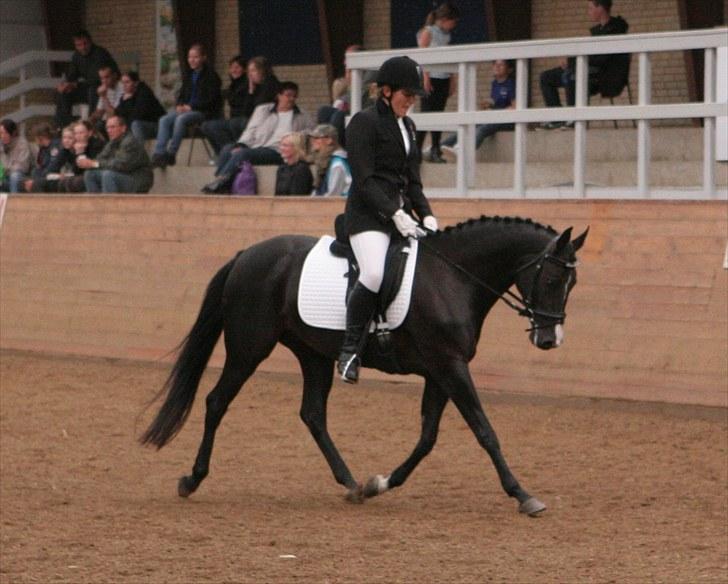 DSP Pandora - Pandora til Championat i Ikast d.29.08.10 med Pernille i sadlen billede 17