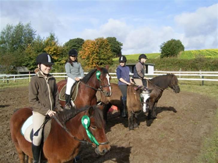 Connemara Juliet du Valera - connemara juliet billede 16