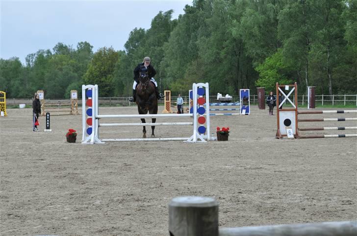 Oldenborg Maistro - stævne 17/5 09 herning billede 14