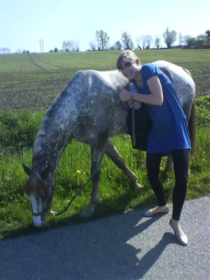 Appaloosa Coco craem - Coco og min søster (flere billeder kommer) billede 9