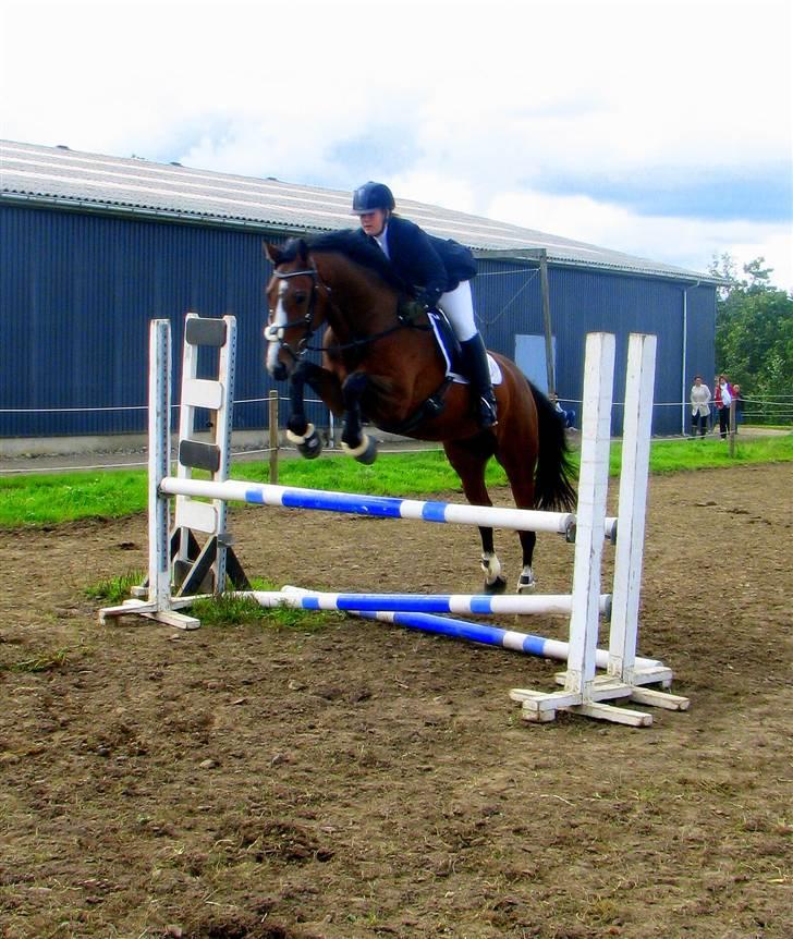 Holstener Lerado - Babyspring (; vi sprang mere gymnastikspringing den dag, end højt. billede 13