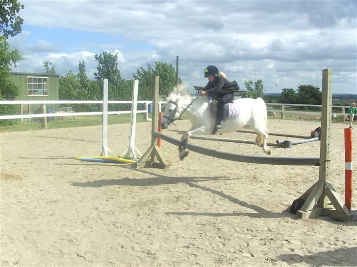 Welsh Pony (sec B) Pingo>R.I.P<savner dig † - et billed fra en ven      foto:lene (vendines mor) billede 6