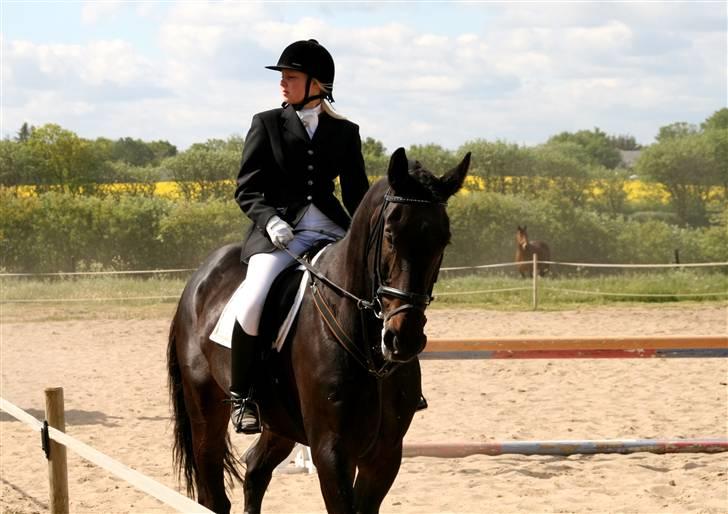 Dansk Varmblod Coronopus (DØD) - Connie og jegpå opvarmningsbanen (: billede 9