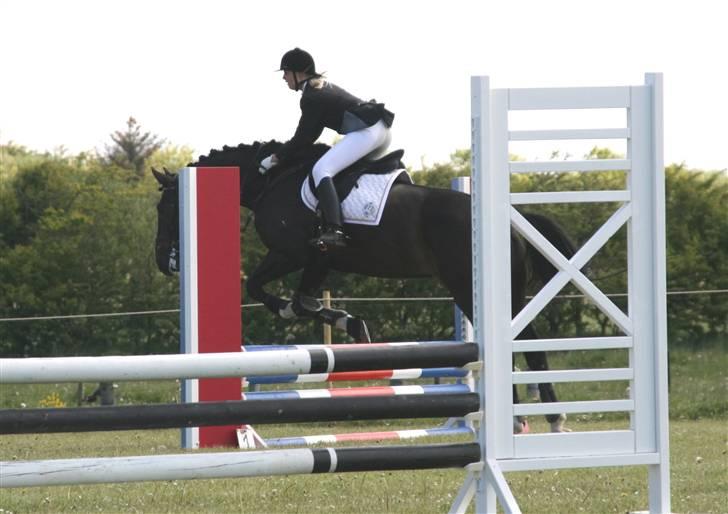 Dansk Varmblod Coronopus (DØD) - Vores første spring stævne (: billede 10