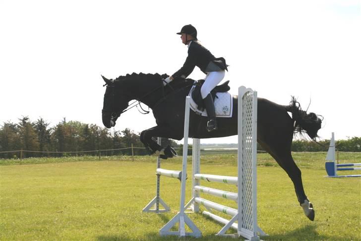 Dansk Varmblod Coronopus (DØD) - Det bedste billede fra vores første stævne :D billede 13