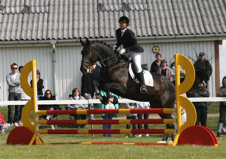 Dansk Varmblod Coronopus (DØD) - Vi styrer springbanen (: Hahaha´ billede 14