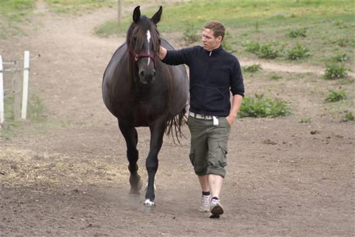 Dansk Varmblod Pernille af Skovly*R.I.P* - Maj 08 , 9½ måned drægtig :) billede 19