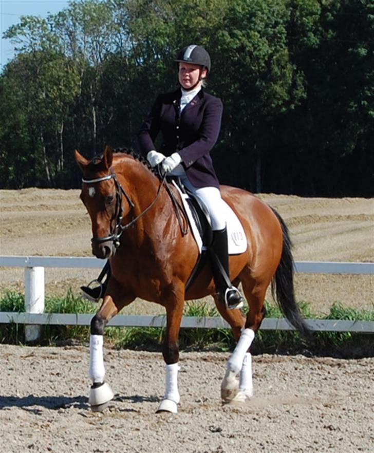 Fuldblod (XX) Fourier (DEN) xx - August 08 billede 13