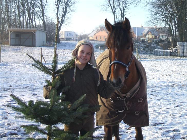 DSP Stidsbjergs Chasmin <3 Solgt. - Chasmin og jeg. (: vinter 2008. <3 billede 4